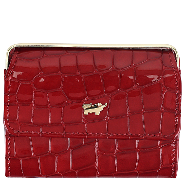 Braun Buffel