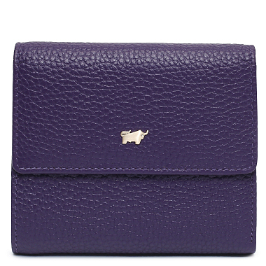 Braun Buffel