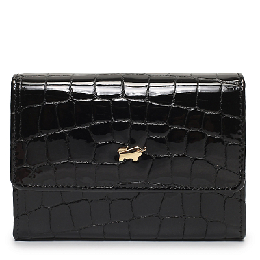 Braun Buffel